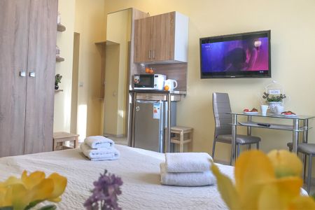 Апартаменты 2-местный (Sunny Svetlogorsk, 10)