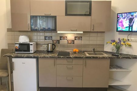 Апартаменты 2-местный (Sunny Svetlogorsk, 10)