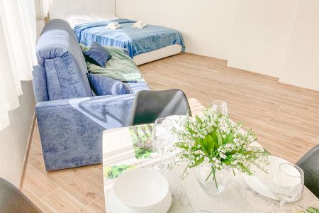 Апартаменты 2-местный (Sunny Svetlogorsk, 11)