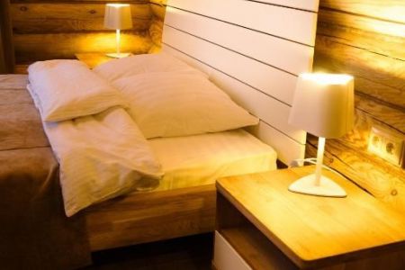 Полулюкс 2-местный (Лесной улей)