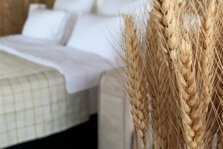 Люкс Семейный 4-местный 3 -комнатный (Изба карася)