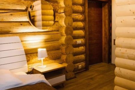 Полулюкс 2-местный (Лесной улей)