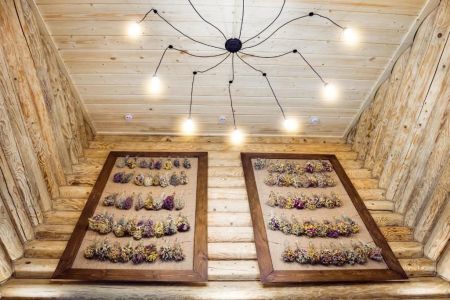 Полулюкс 2-местный (Лесной улей)