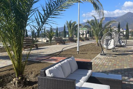 Внешний вид