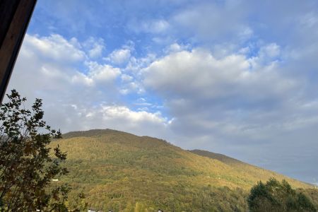 Стандартный 2-местный 1-комнатный TWIN/DBL (без балкона)