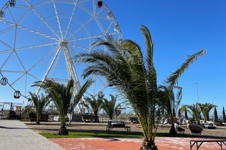 Внешний вид