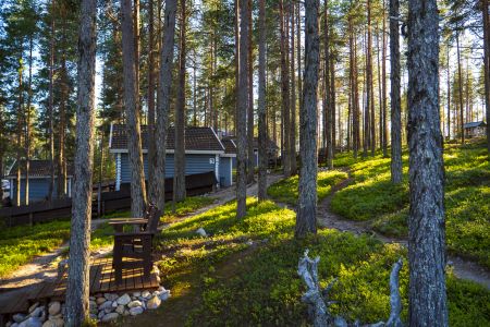 Коттедж 5-местный 3-комнатный 1 этаж (Медведь)