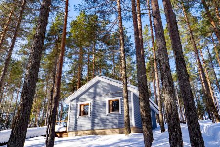 Коттедж 5-местный 3-комнатный 1 этаж (Медведь)