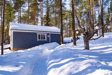 Коттедж 5-местный 3-комнатный 1 этаж (Медведь)