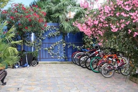 Внешний вид, территория