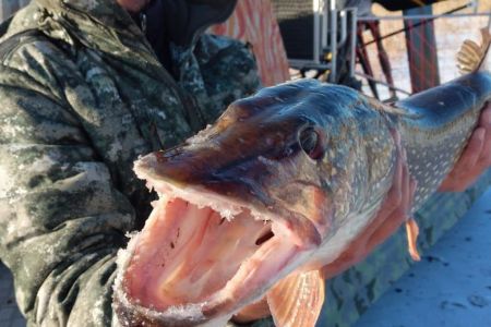 photo_2022-06-02_12-03-02