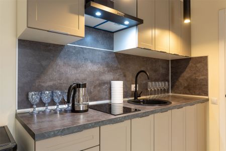 Апартаменты 2-местные 2-комнатные (Люкс)