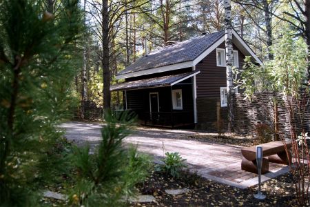 Внешний вид