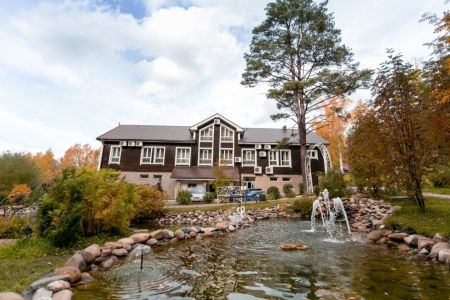 Внешний вид