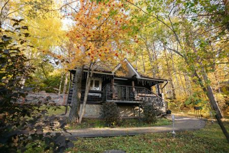 Внешний вид