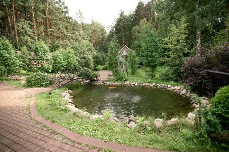 Внешний вид