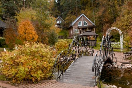 Внешний вид