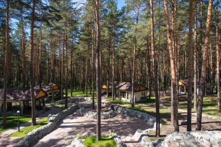 Внешний вид