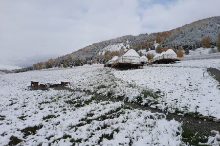 Алтайское кочевье