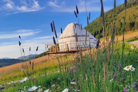 Алтайское кочевье