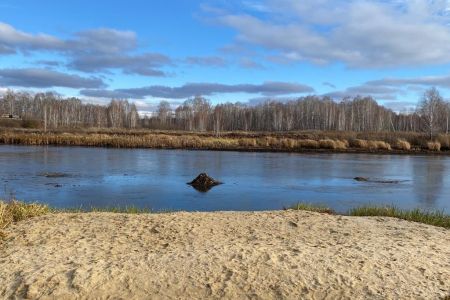 Внешний вид