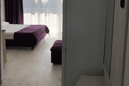 Улучшенный 2-местный 1-комнатный №1