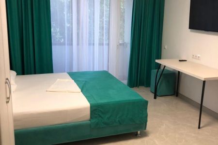 Люкс 3-местный 1-комнатный №9