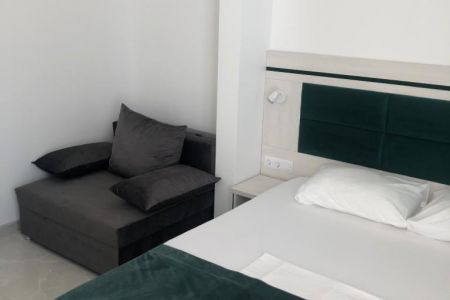 Люкс 3-местный 1-комнатный №9