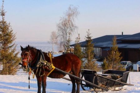 WhatsApp Image 2023-01-13 at 12.24.47 (1)