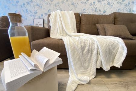 Квартира 4-местный 1-комнатный (234)