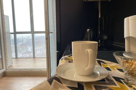 Ньютон на Родионова