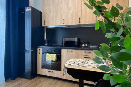 Ньютон на Родионова