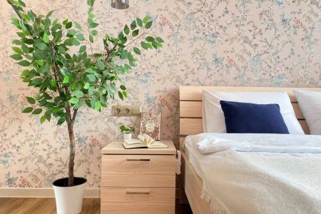 Ньютон на Родионова