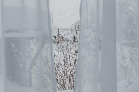 Дом 4-местный