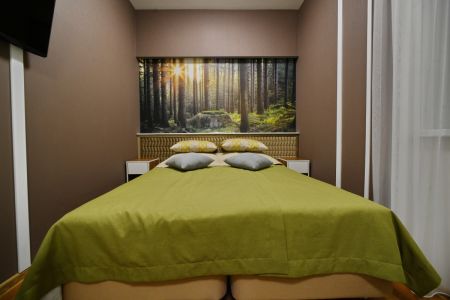 Полулюкс 2-местный №510-511