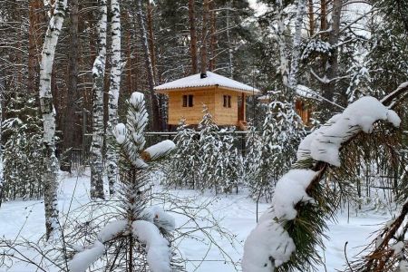 Мечта парк-отель