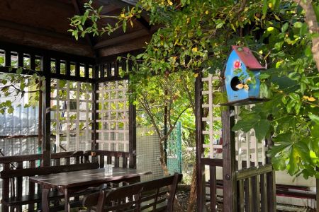 Территория