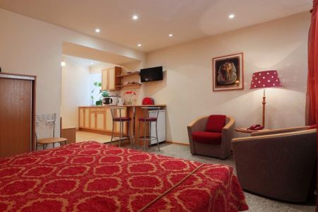 Студио 2-местный №8