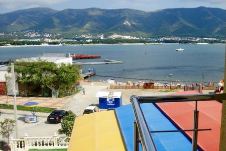 Внешний вид