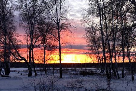 Глемпинг Сафари тент