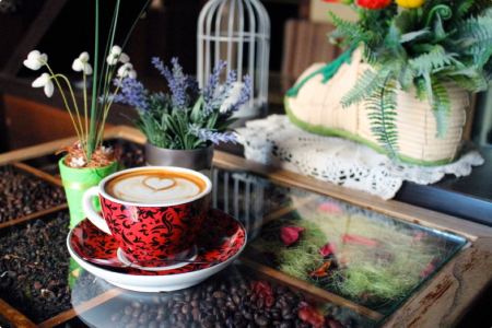 Внешний вид