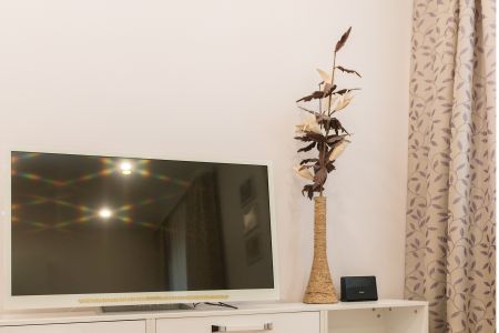 «HOROMY» / «Хоромы на Александра Невского» апартаменты