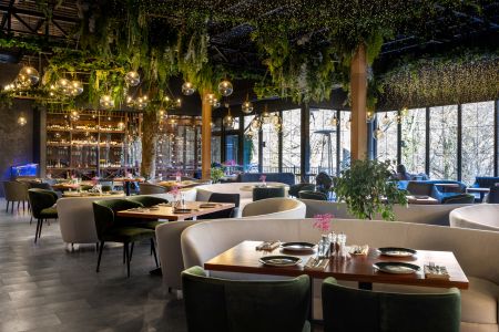 Внешний вид