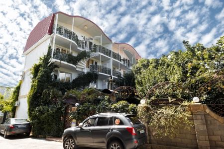 Летучая мышь