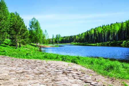 Внешний вид