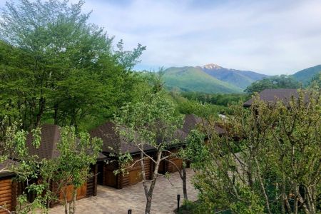 Территория