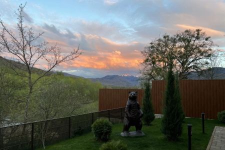 Территория