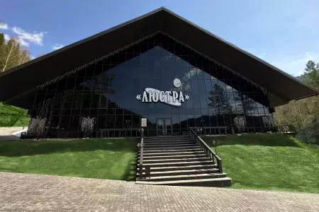 Внешний вид