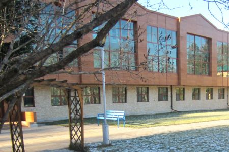 Внешний вид