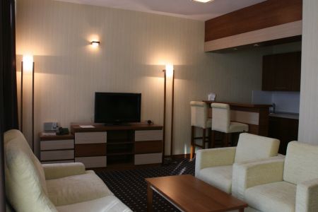 Стандарт 1-местный